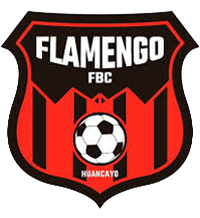 Visitante team logo