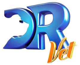 Q2F0ZWdvcnk6Njc4ZjAyYjMzMTQ5ZjhkODE4MzkxNzg3