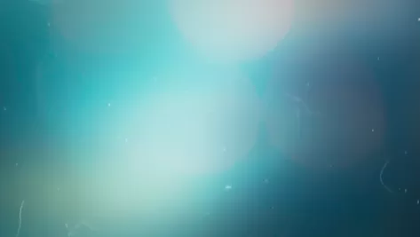 Q2F0ZWdvcnk6Njc4ZjAxMmQzMTQ5ZjhkODE4MzkwMjdj