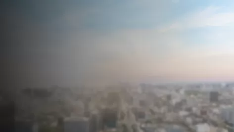 Q2F0ZWdvcnk6Njc4ZjAxMmQzMTQ5ZjhkODE4MzkwMjdj