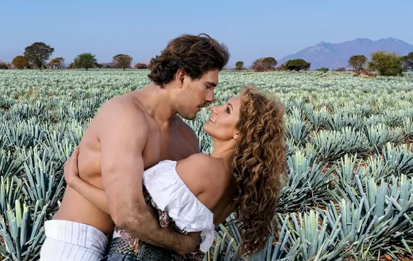 imagen de Destilando Amor