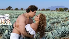 imagen de Destilando Amor