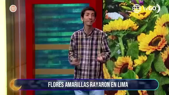 Desvelados