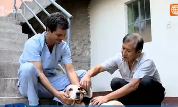 Dr. Vet - Transmitido el 10/10/2015