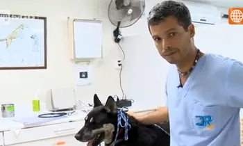 Dr. Vet - Transmitido el 31/10/2015