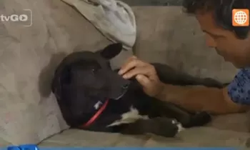 Dr. Vet - transmitido el 02/01/2016