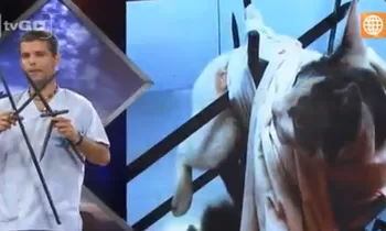 Dr. Vet - transmitido el 09/01/2016