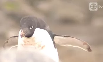 Cap 1: La Frontera Azul