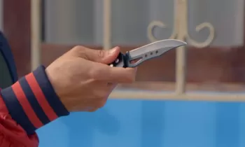 Cap: 71 - Emisión 30/10/2019