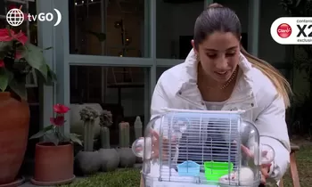 Alessia y su ratón Stuart protagonizan tiernas escenas a escondidas