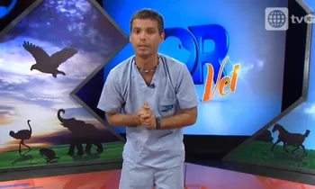 Dr Vet - transmitido el 08/08/2015