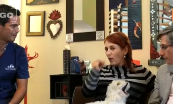 Dr Vet - transmitido el 15/08/2015