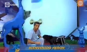 Dr Vet - transmitido el 22/08/2015