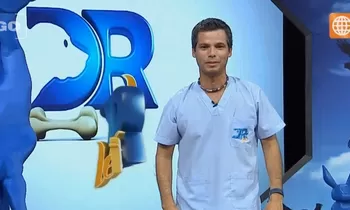 Dr Vet - transmitido el 29/08/2015
