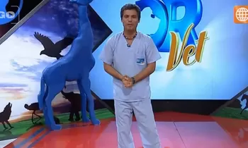 Dr Vet - transmitido el 05/09/2015