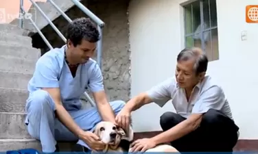 Dr. Vet - Transmitido el 10/10/2015