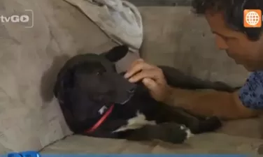 Dr. Vet - transmitido el 02/01/2016