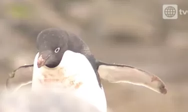 Cap 1: La Frontera Azul