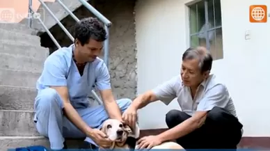 Dr. Vet - Transmitido el 10/10/2015