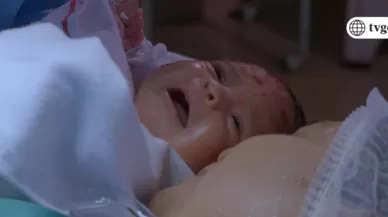 Cap: 82 - Emision 15/06/2018