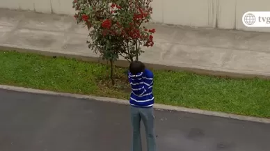 Cap: 228 - Emision 25/06/2018