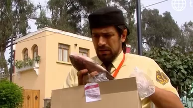 Cap 703 Emisión 25/05/2021