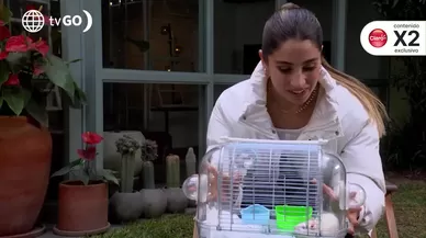 Alessia y su ratón Stuart protagonizan tiernas escenas a escondidas