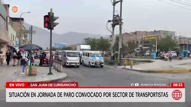 Situación del paro en San Juan de Lurigancho