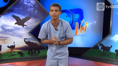 Dr Vet - transmitido el 08/08/2015
