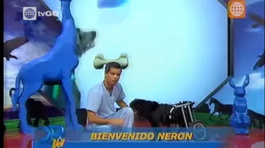 Dr Vet - transmitido el 22/08/2015