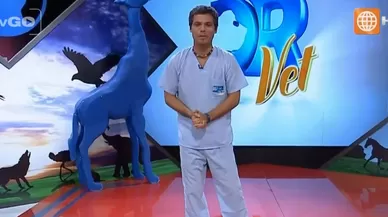 Dr Vet - transmitido el 05/09/2015