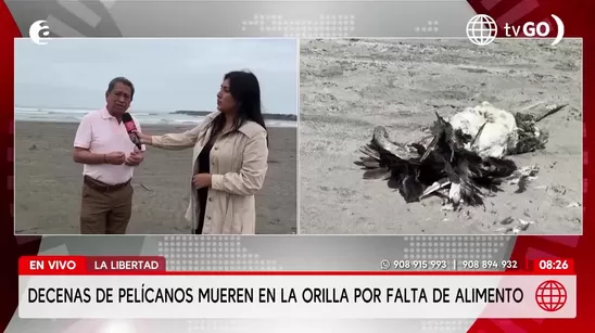 AN: Primera Edición